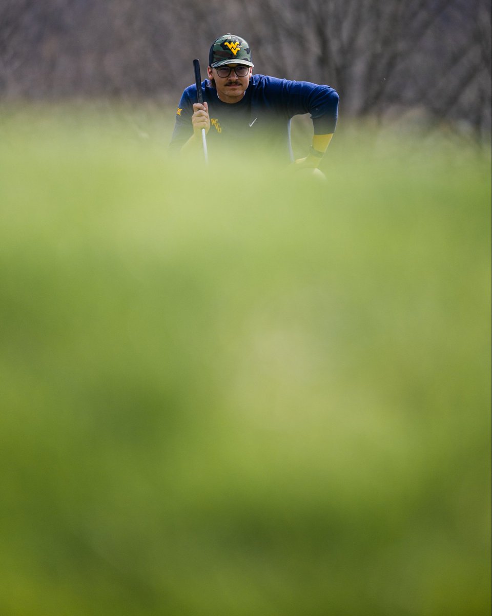 gavin_flicks's tweet photo. Frames from the Mountaineer Invitational https://t.co/iA4aNzuMMs