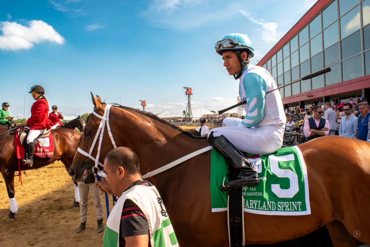 benjancewicz's tweet image. Shiney 5

#BenjaPhoto 
🌍 Baltimore
📸 Nikon D5500
🗓️ May 2023
#Preakness