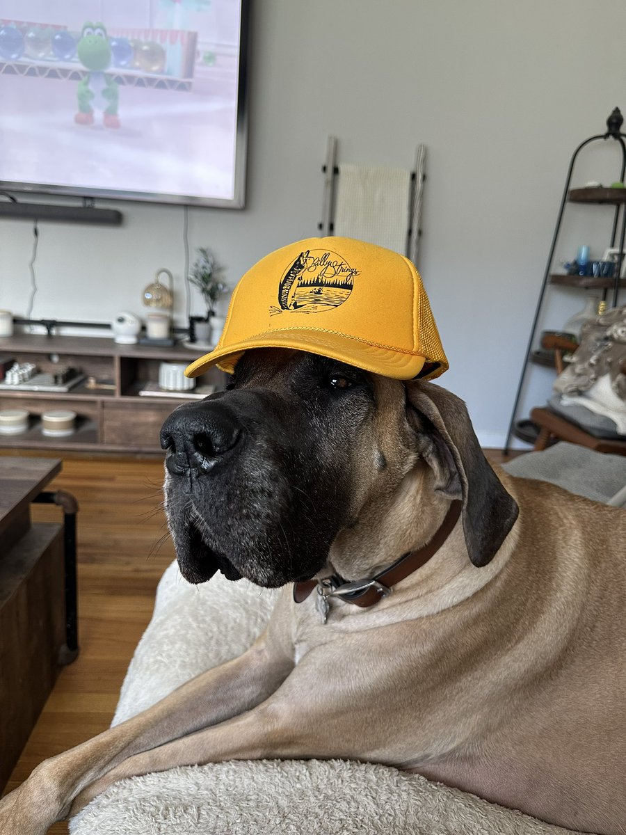 NYYSandy's tweet image. She likes @BillyStrings #BillyStrings