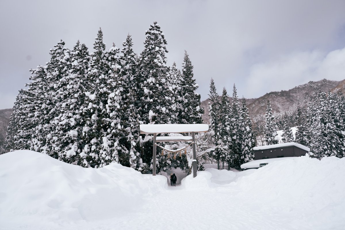 New Japan travel video on experiencing the #Ouchijuku Snow Festival. I've been lucky and grateful that being a Yuzu fan has made me interested in exploring more of Tohoku and northern Japan because it's endlessly delightful, especially in winter ❄️ youtube.com/watch?v=lQD206…