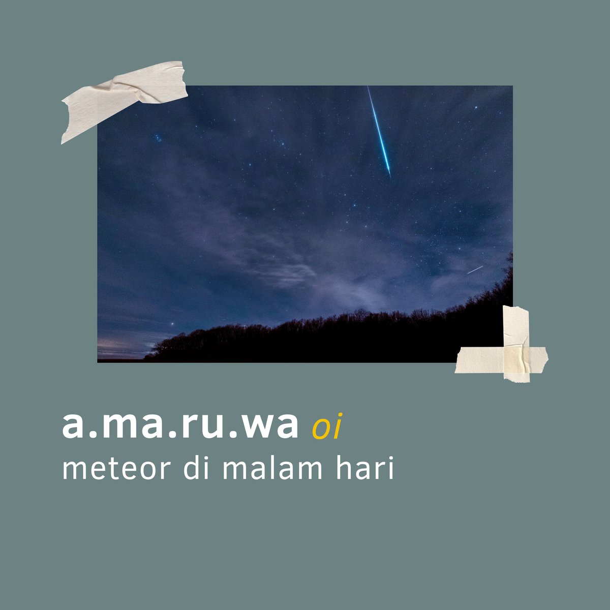 Kalameta 😿 tweet media