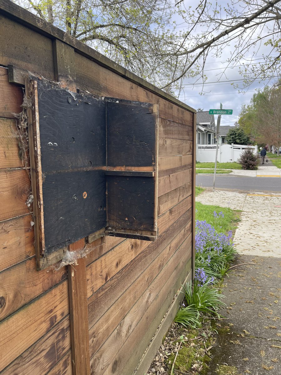 Karli Olson tweet media