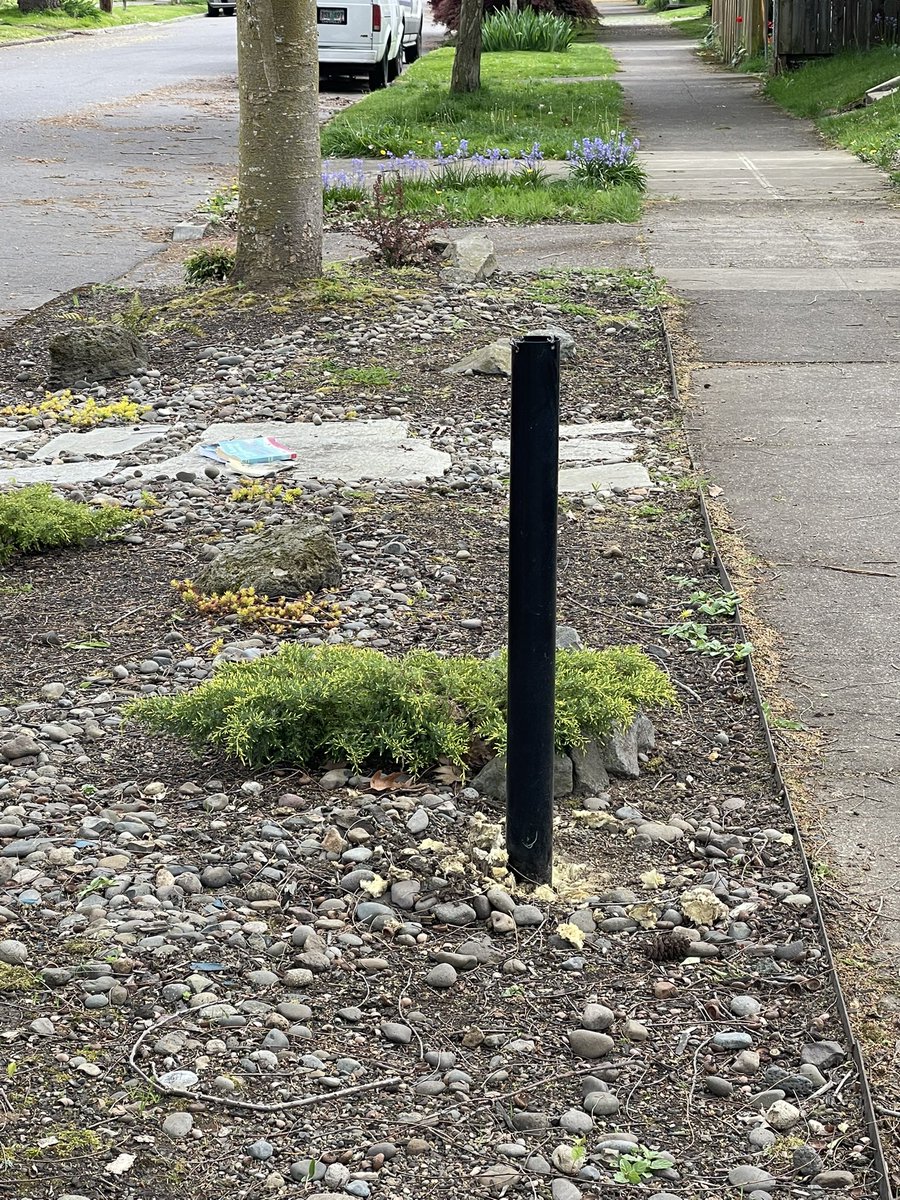 Karli Olson tweet media