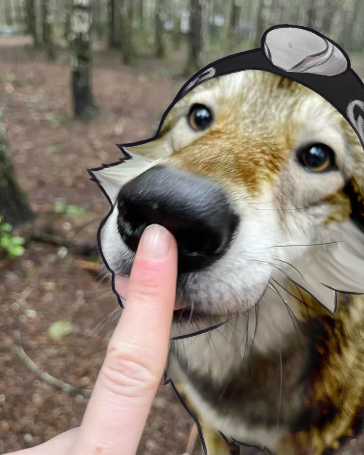 𝕵𝖔𝖍𝖓 🍊 𝕱𝖔𝖝~ tweet media