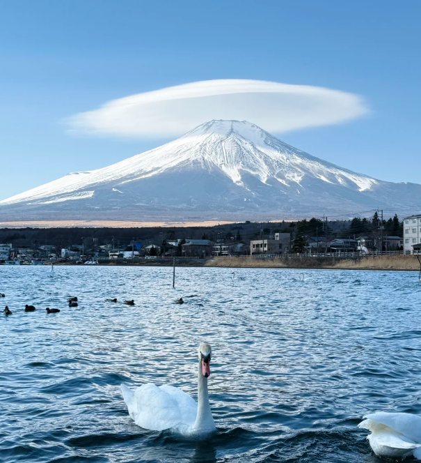 日本の富士山のふもと、湖のほとりは静かで、山頂は雲がかかって、まるで1つの「雲の帽子」をかぶったようです。自然の驚異に圧倒されます!こんな壮大な景色に感動したことはありませんか?早くあなたの旅行のストーリを分かち合います!#富士山#日本旅行#自然の美しさです🥰