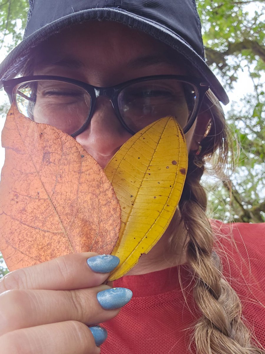 LaZelayita's tweet photo. Pregunteme, si disfrute viajar 8 horas desde Masaya para Jinotega? Yo le contesto, ¡Claro que sí! Era justo lo que necesitaba mi alma 🍃☀️💛 #Nicaragua #Bosawas https://t.co/A8B0vjOFlM
