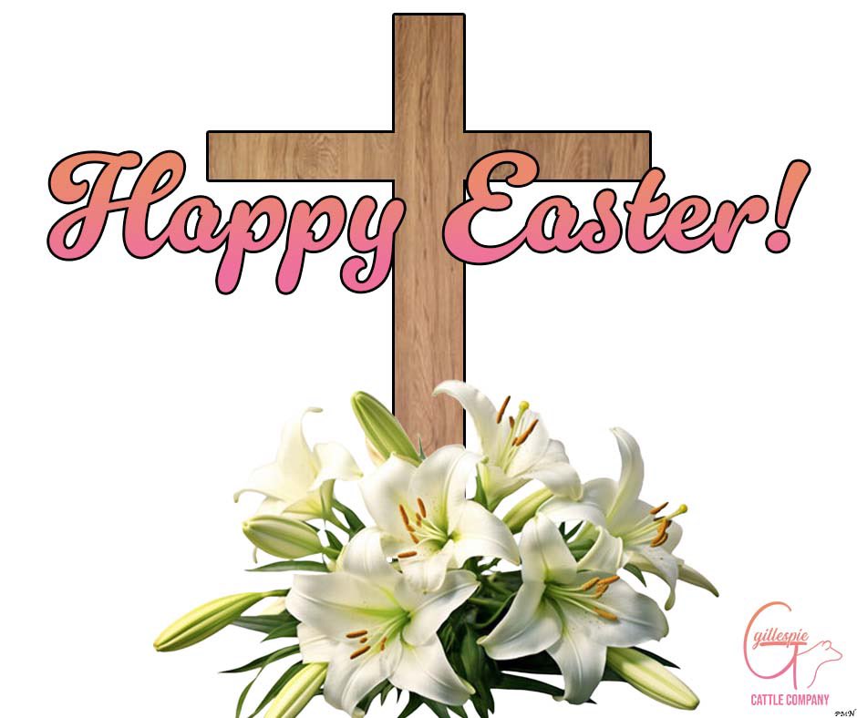 ••He is not here; he has risen! — Luke 24:6••

Happy Easter! ✝️