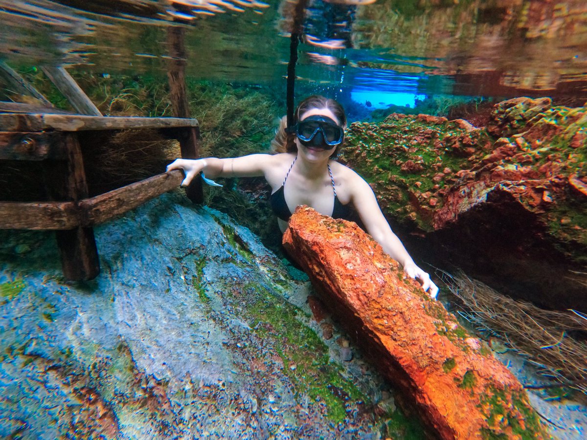 _linesants's tweet image. 