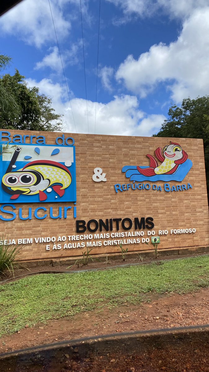 _linesants's tweet image. 