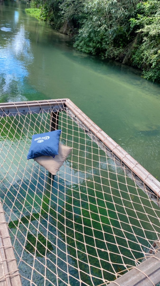 _linesants's tweet image. 