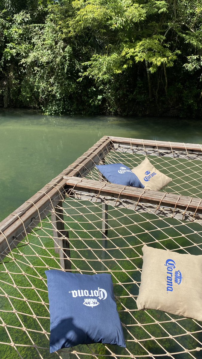 _linesants's tweet image. 