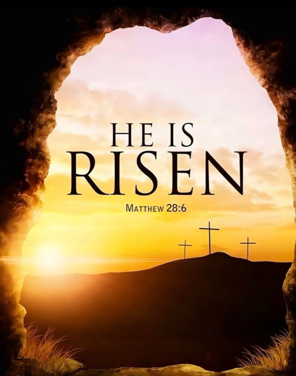 N. Hardin Christian Lady Falcons Basketball tweet media