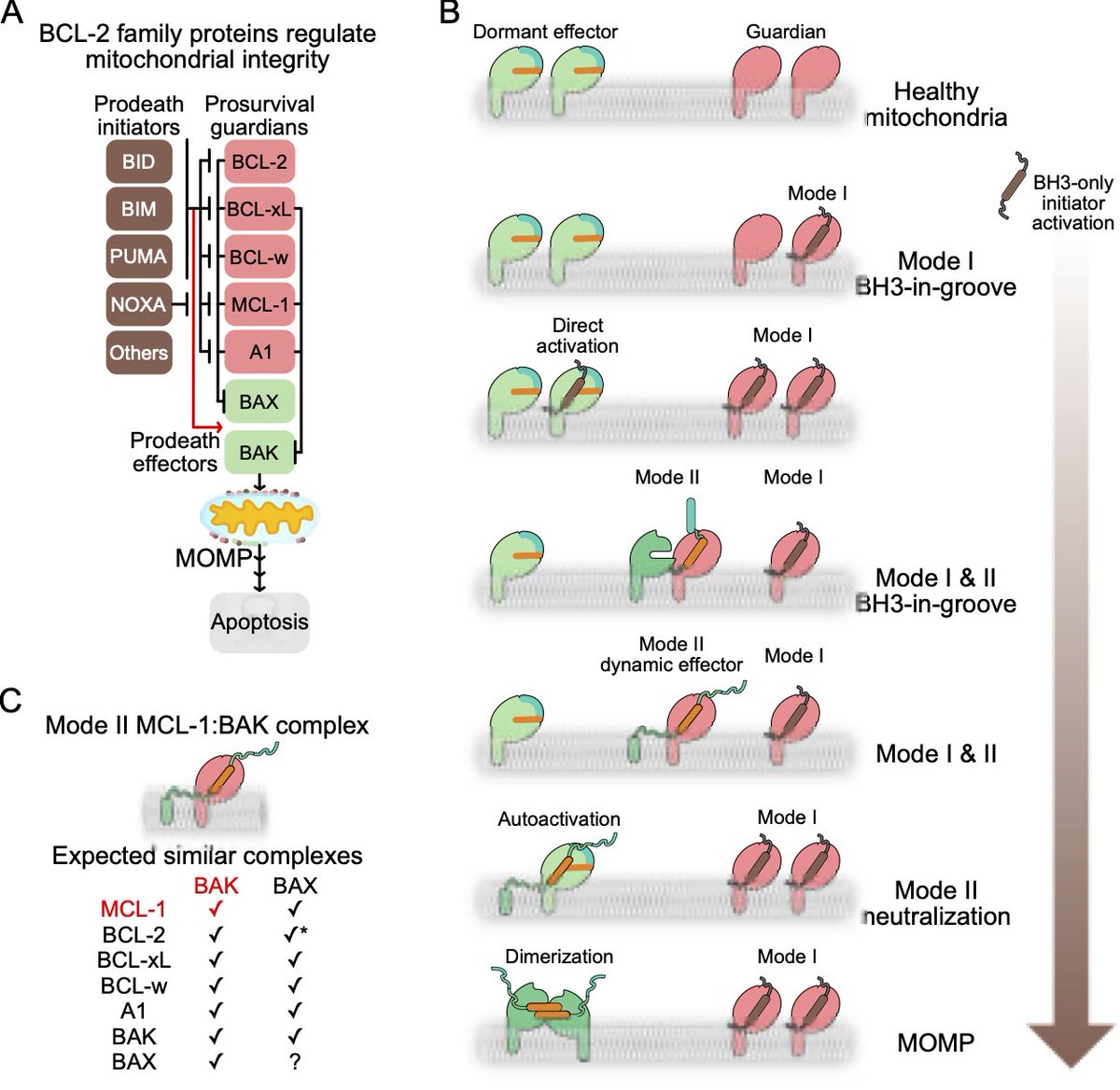 MoldoveanuLab tweet media