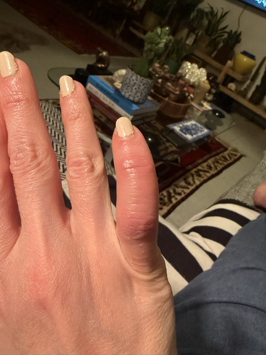 Saye Sohrabi زن .زندگی .آزادی tweet media