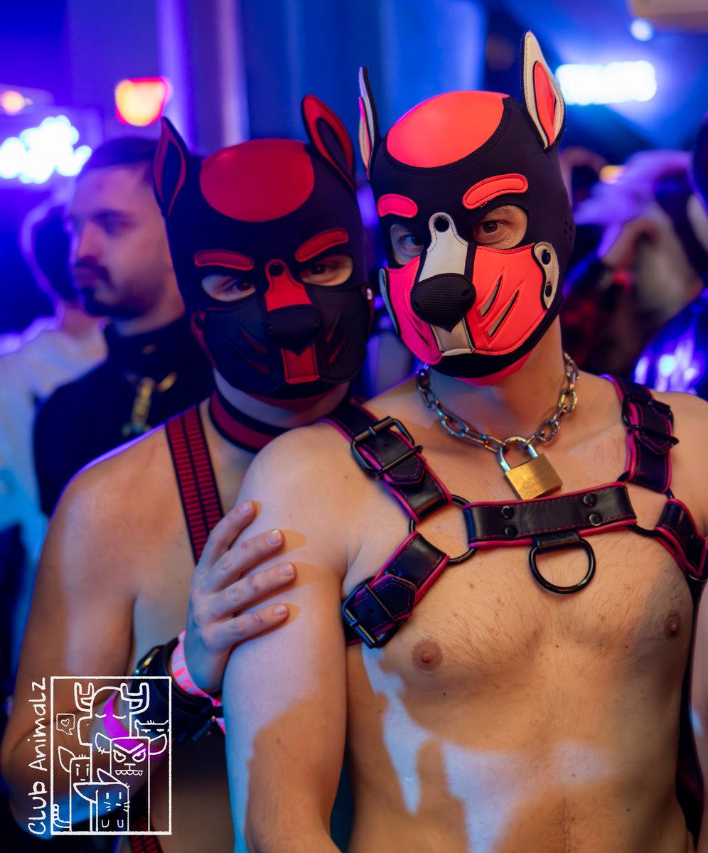 <a href="/PupKip_/">Pup Kip</a>