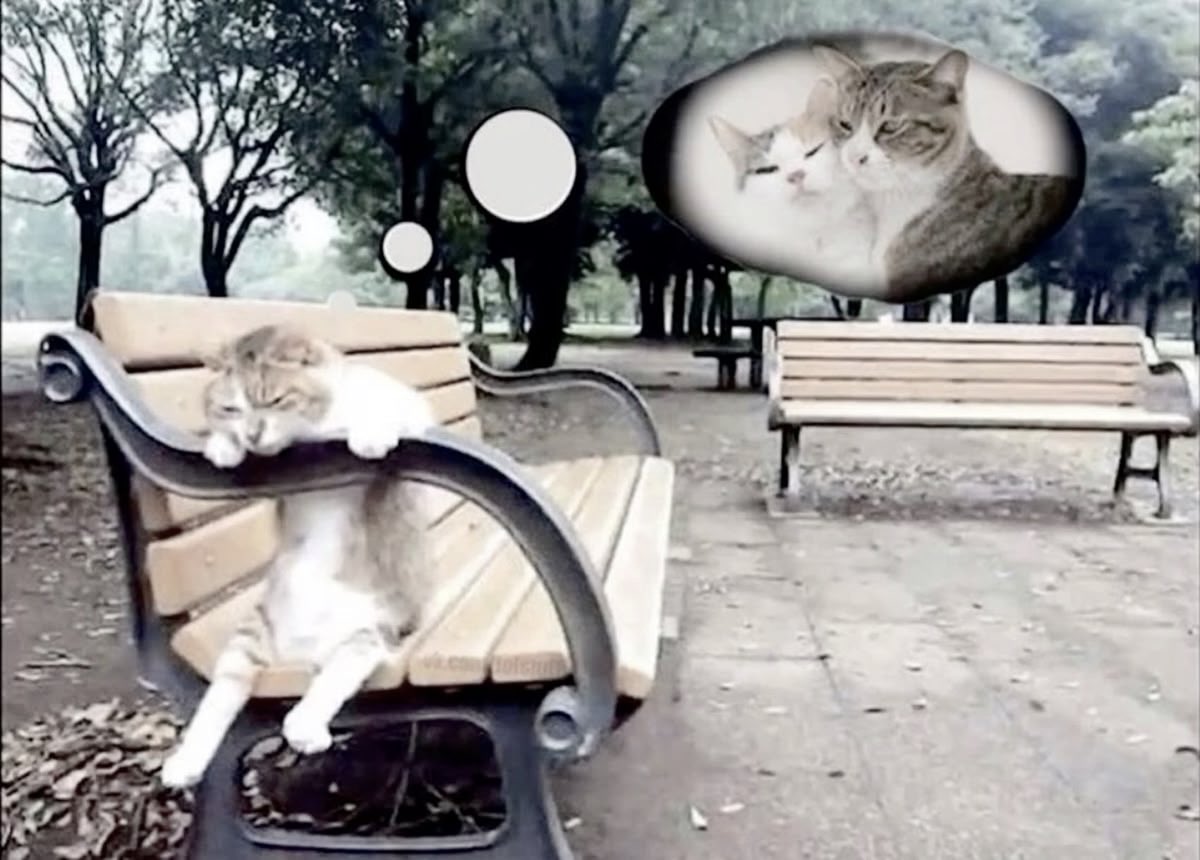 ‏۟ (@3vyvm) on Twitter photo 