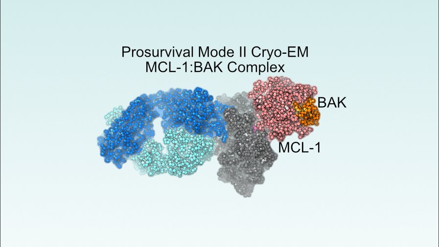 MoldoveanuLab tweet media