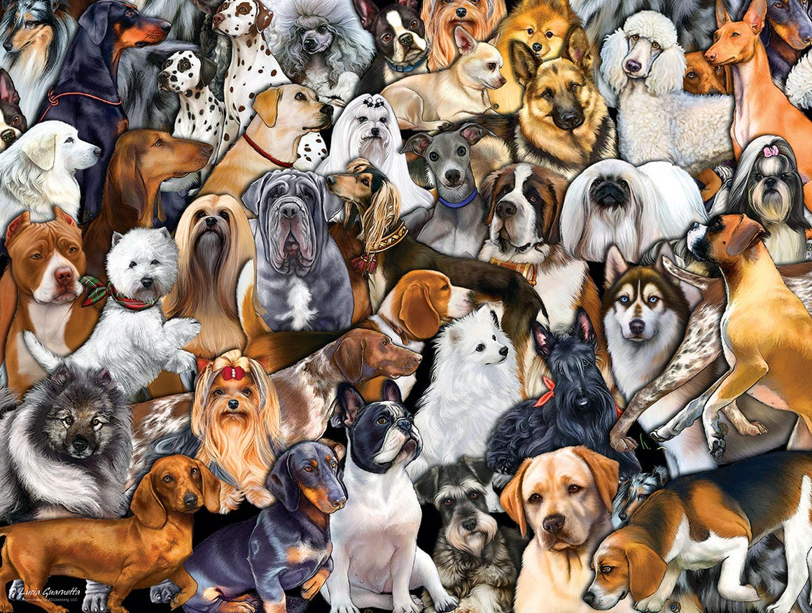 MAGA_MELISSA_69's tweet photo. 🔥🧠 Alright y’all—brainiacs & smartasses think you’ve got the brains to conquer the question? 🤔
Which breed of dog is known for its distinctive blue-black tongue?
#HowSmartAreYou #QuizTime https://t.co/B4xHwBkMxa