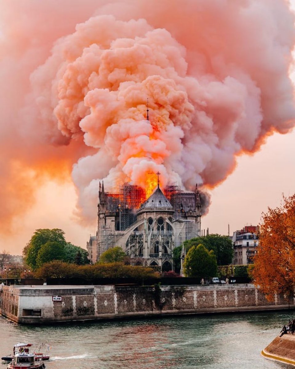 Bleu Blanc Rouge ! 🇫🇷 tweet media