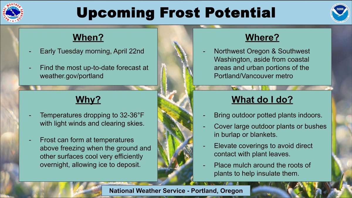 Areas of frost are possible across much of the region early Tuesday morning, April 22nd. Plant growers or those with agricultural interests should prepare for temperatures of 32-36F which may damage outdoor plants. #orwx #wawx