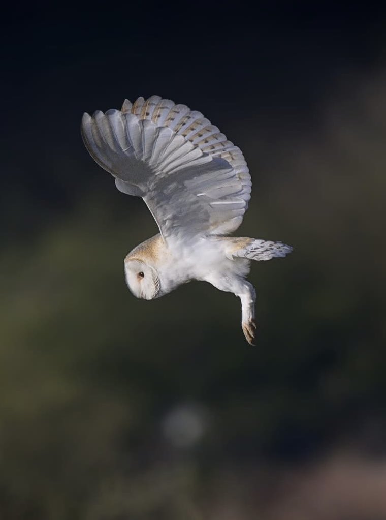 Angela Mason tweet media