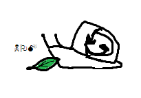 also wool tweet media