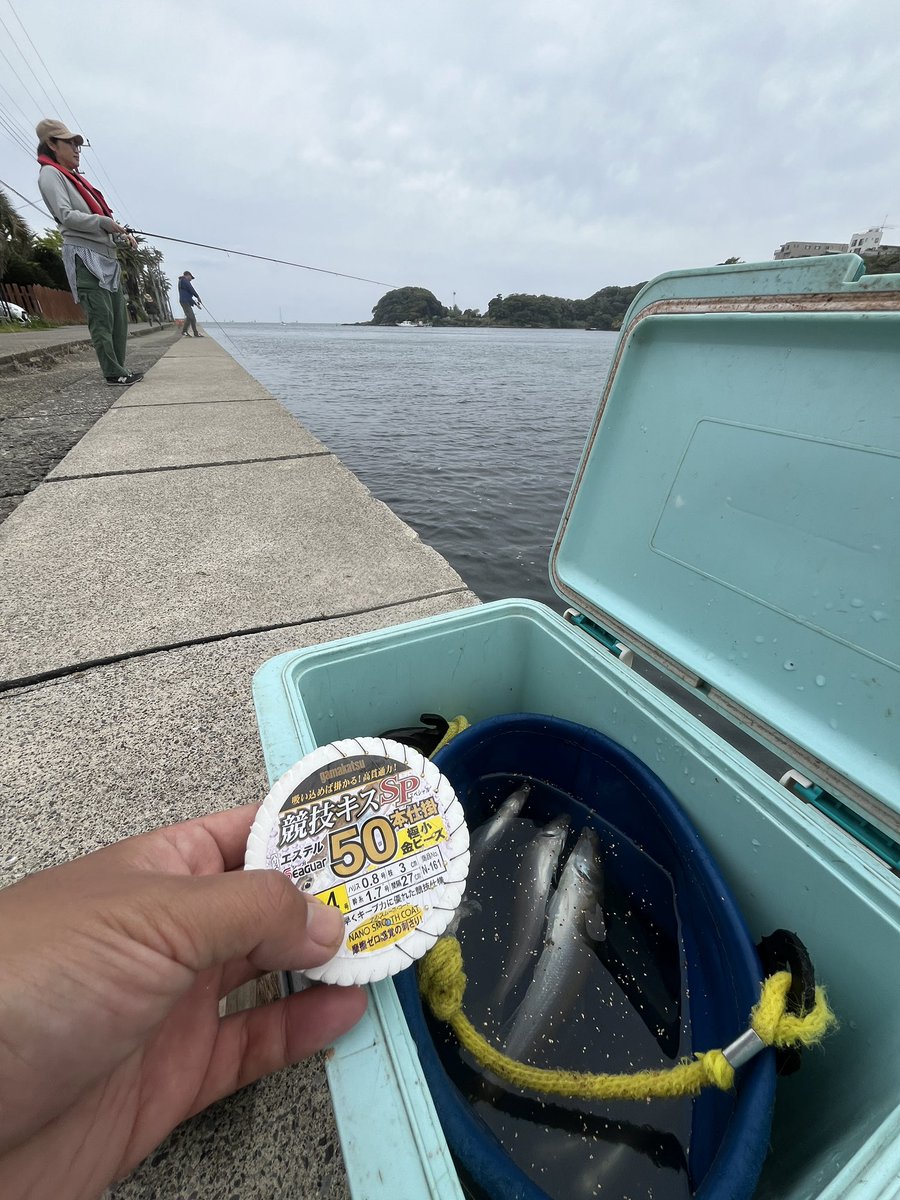 BaseMiura's tweet photo. シロギスのシーズン到来！
いよいよ夏に向けて海が賑やかになってきましたよ〜♫ https://t.co/vNbkmc3Akw