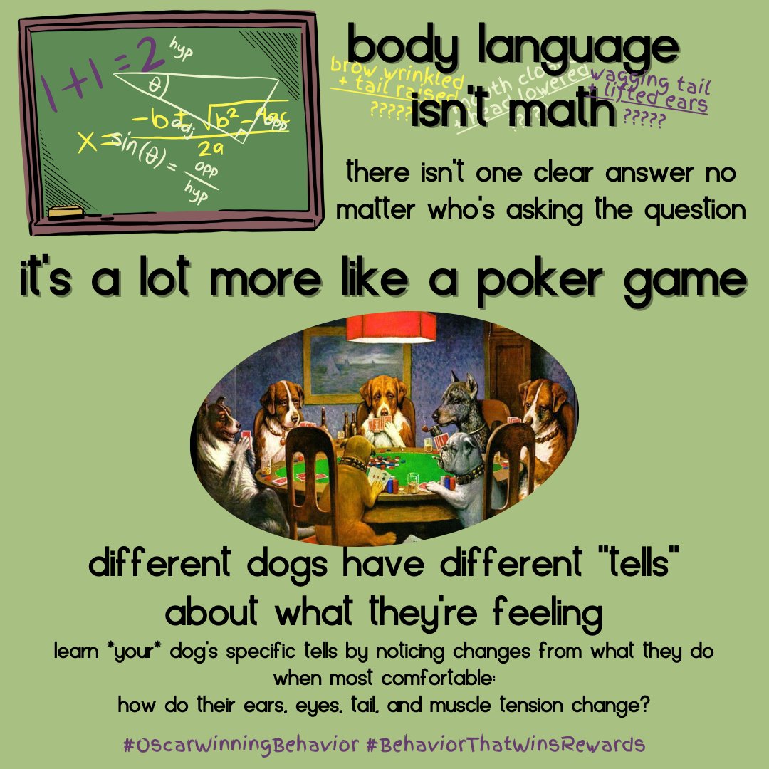 OscarWinning's tweet image. The best way to read your dog is to notice what they look like when they're truly relaxed and happy.  Then compare any differences to that; those will let you know about stimulation, stress, and warning signs of discomfort!

#OscarWinningBehavior #DogBehavior #HappyDogs