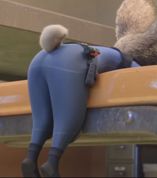 DailyJudyB's tweet image. Some real bunny behind #zootopia #judyhopps