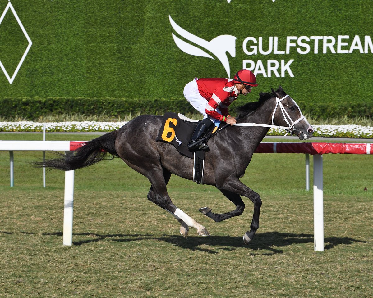 GulfstreamPark's tweet photo. Beckett's Map pulls away in the final stretch to earn the win in race 10, @bravoace in the stirrups for trainer @RacingDelgado. #GulfstreamPark #RoyalPalmMeet https://t.co/783gXiicnY