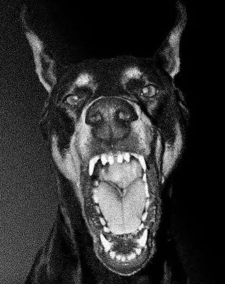 maxyourtest's tweet image. 