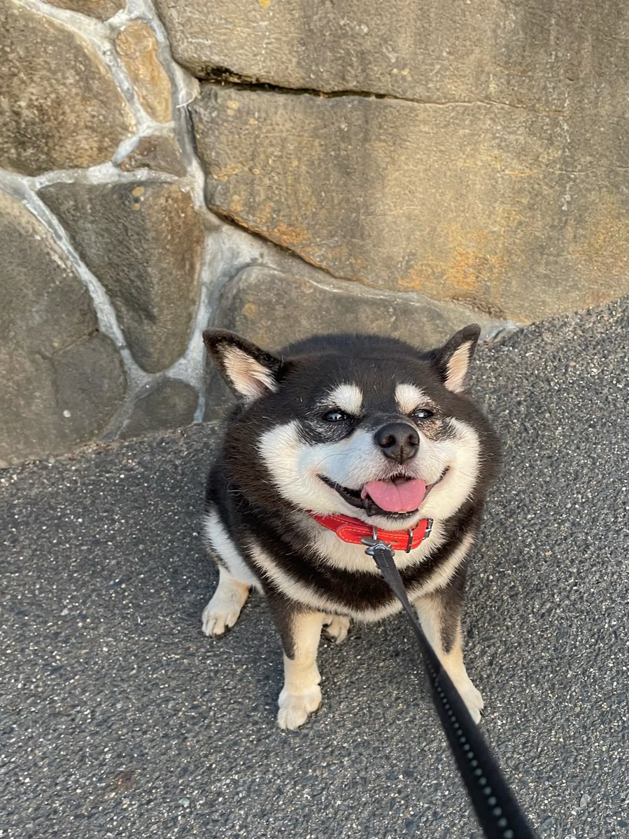 07tarou09's tweet image. 月曜日ーーーーU^ェ^U‼︎