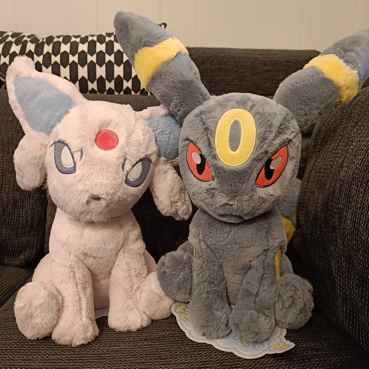 Chiko_Charm's tweet image. Ordered these two plushies from Japan! Absolutely love them!😍 Wanted to buy Eevee too but money be too short..😭 Can't wait for them to make a Glaceon, Leafeon and Sylveon of these!🥰 
#Pokemon #PokemonPlush #PokemonCenter #Espeon #Umbreon #Eeveelutions