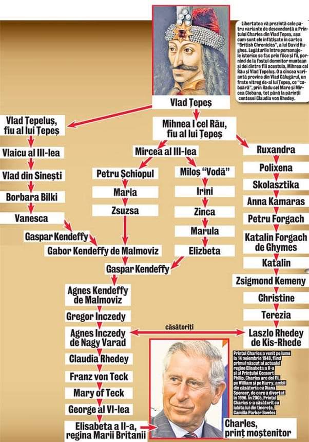 Librocubicularist 1 tweet media