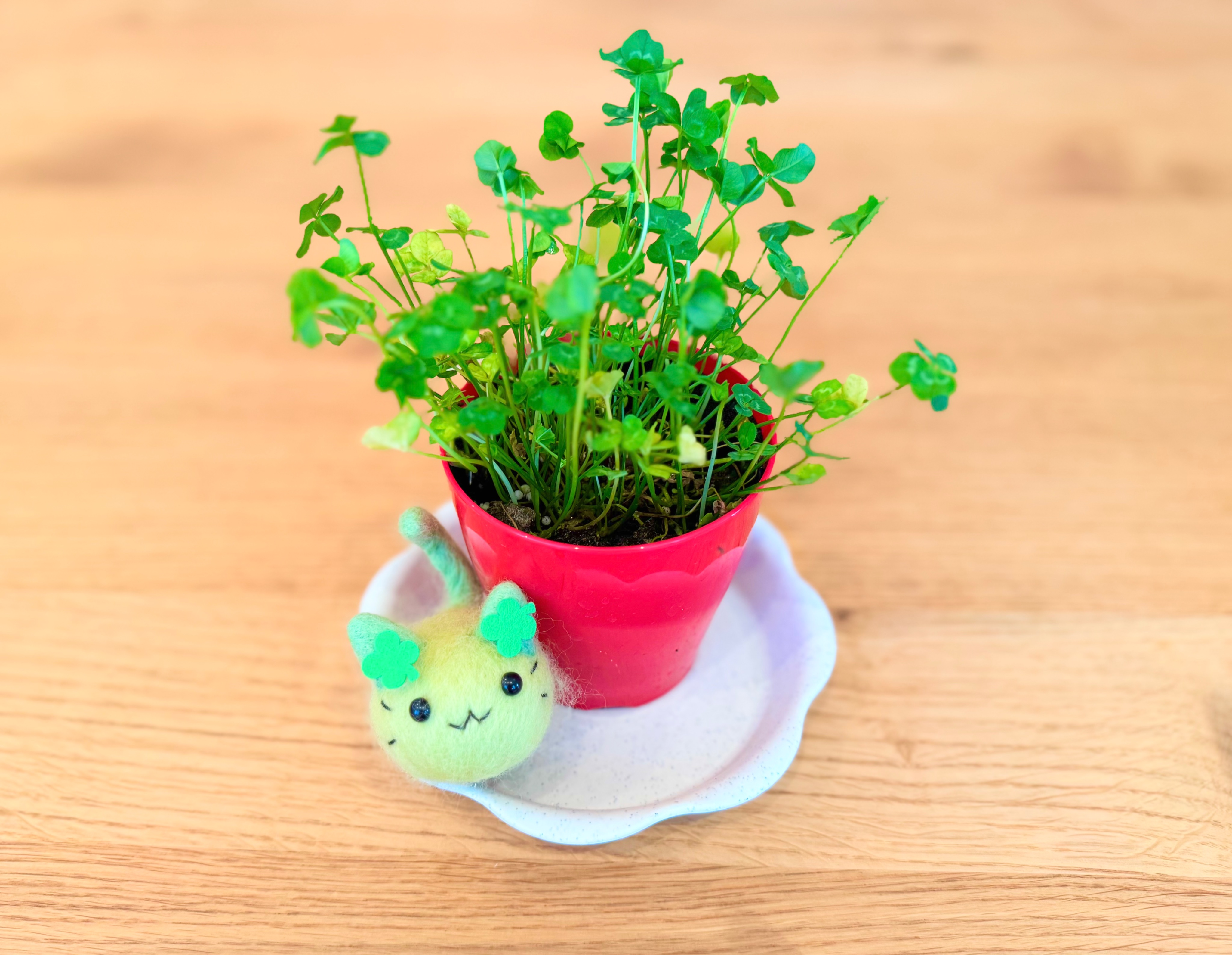 はっとりみどり羊毛フェルト Needle felting (@midorihattori) / X