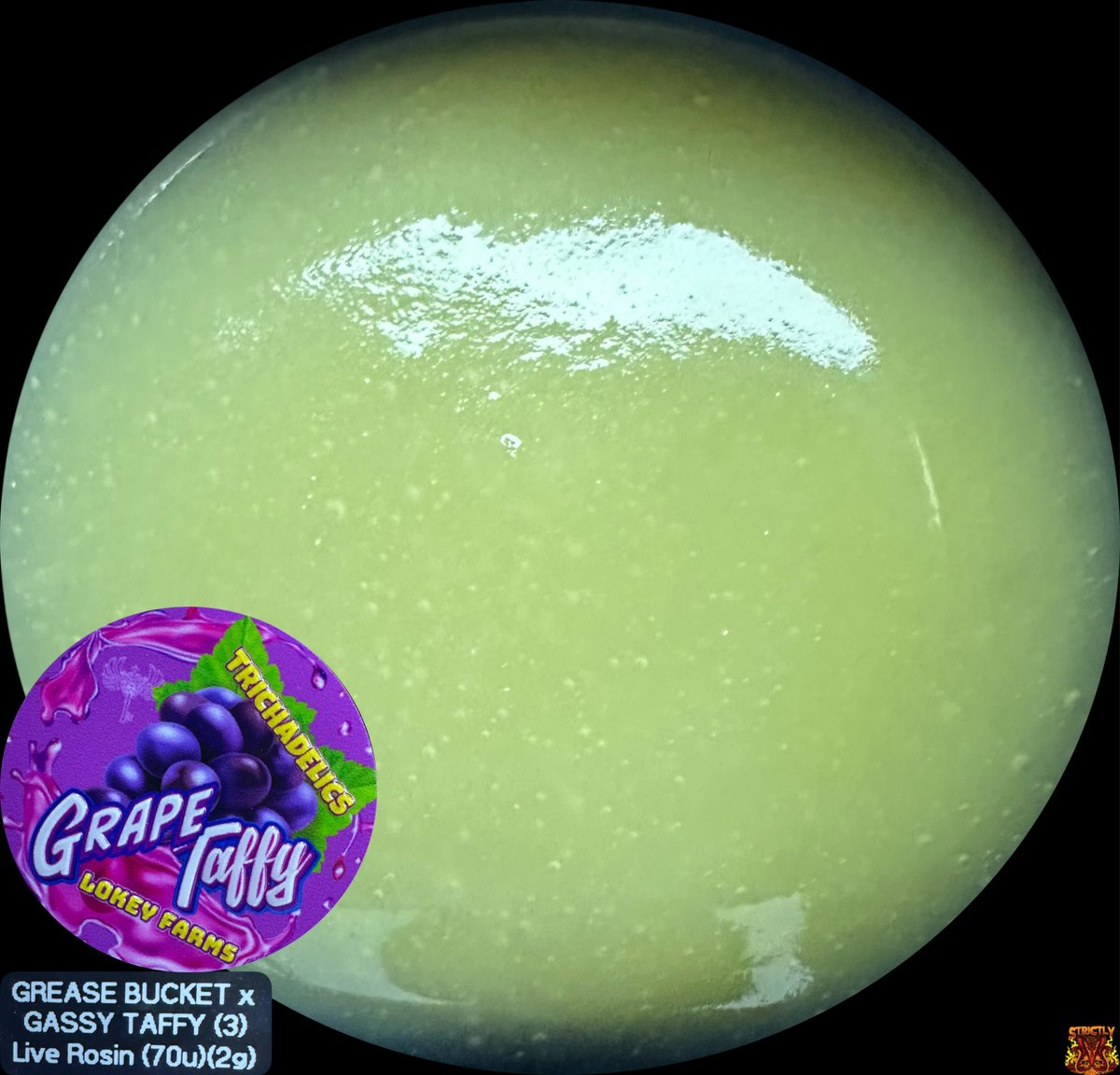 StrictlyOGSocal's tweet image. #grapetaffy #greasebucket x #gassytaffy #fire #flavorful #unique #grapey #candy #onlythebest #collab #70u #trichadelics #lokeyfarms #premium #coldcure #hashrosin #socal 

Hashmaker

@Trichadelics 

Our Insta 

@strictlyogsocal 
@strictlyogsocal4.0
@strictly_og_
@strictlyogfresno