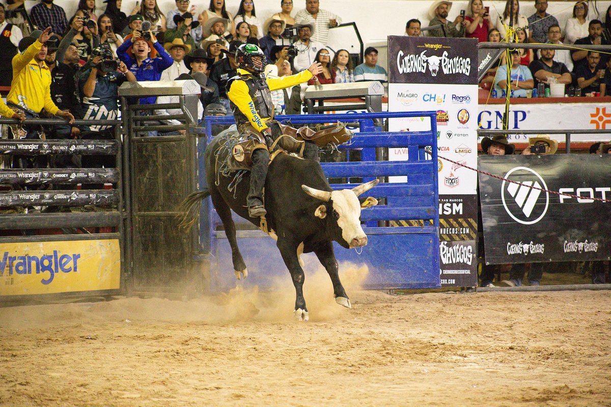 Feria de San Marcos tweet media