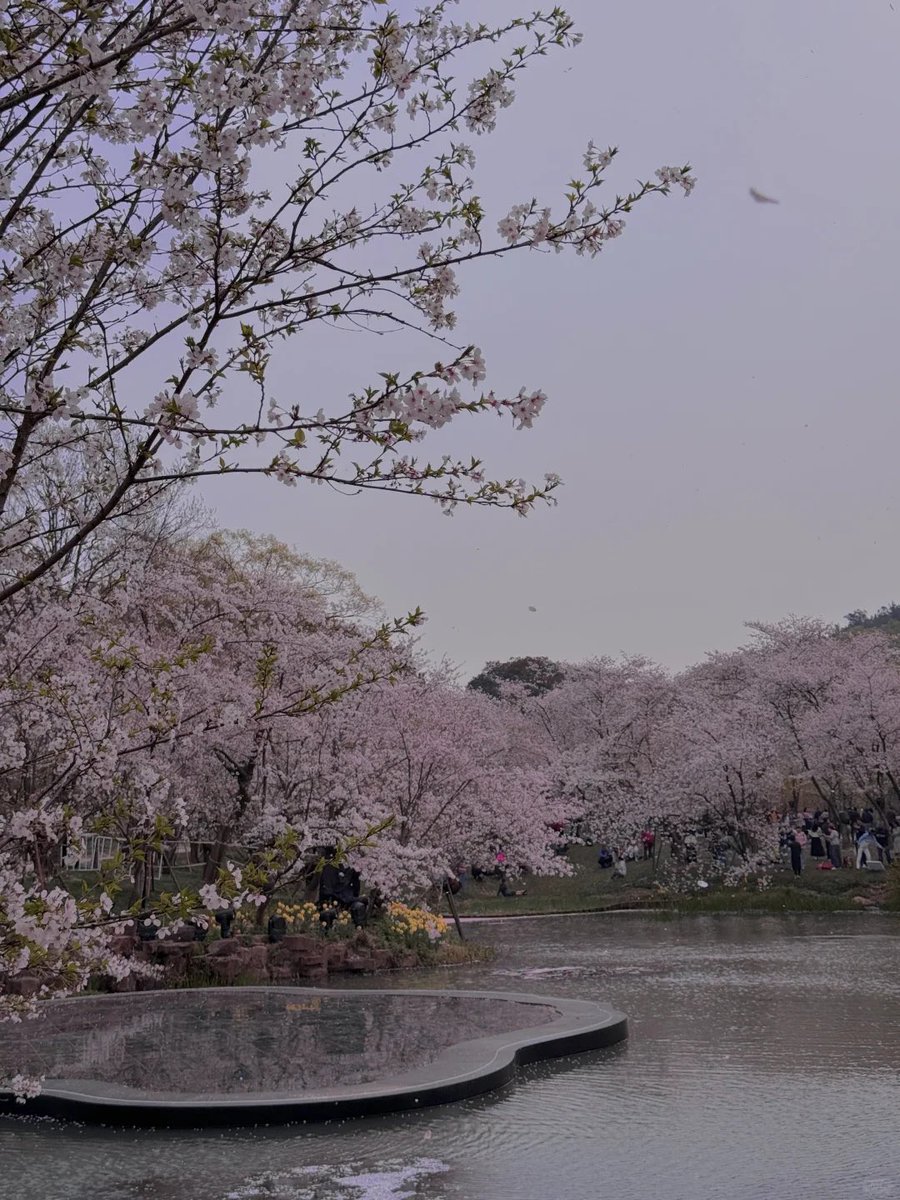 b1handsome's tweet photo. Spring is coming. https://t.co/9ktc5R8Rzj