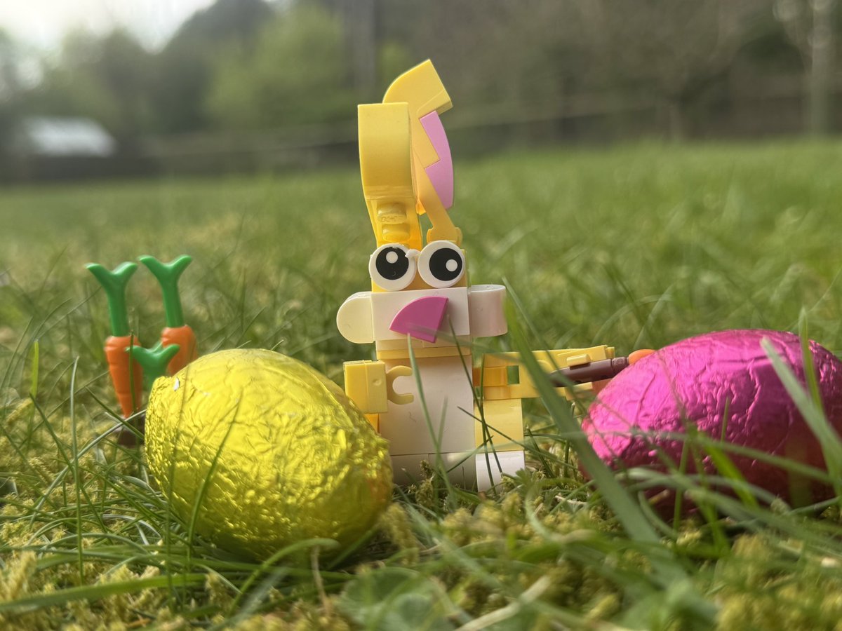 mattlightrabbit's tweet image. Happy Easter to you all! #easter #eastersunday 🐣