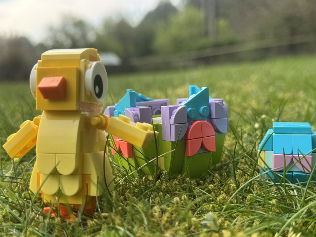 mattlightrabbit's tweet image. Happy Easter to you all! #easter #eastersunday 🐣