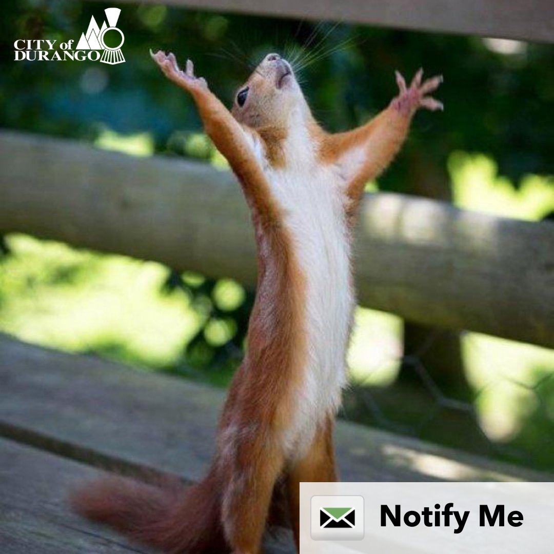 As exciting as knowing Spring is on its way! Notify Me helps you stay up-to-date on city news, events and more by signing up for Notify Me. bit.ly/3Jidgw9