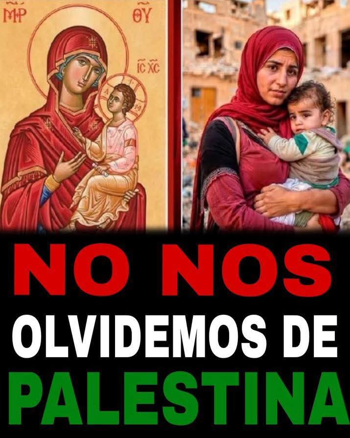 Palestina Internacional Broadcast (@pbi_es) on Twitter photo 
