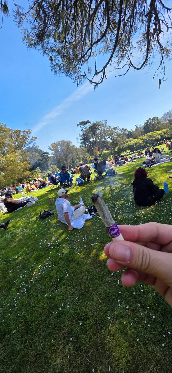 #420day etkinlikleri mahlemizde tüm hızıyla kutlanmakta🎉