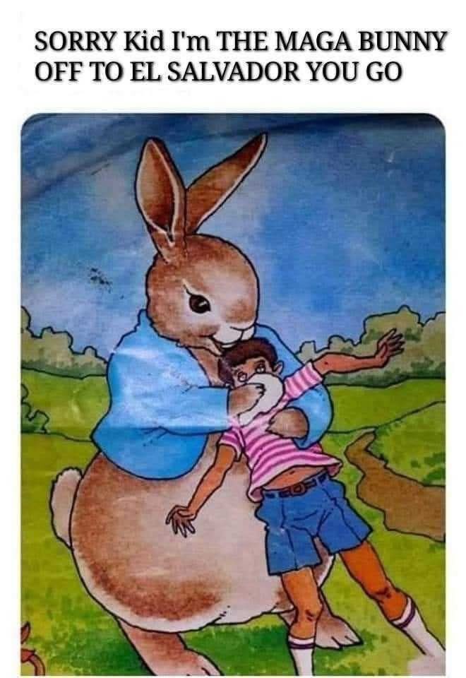 Wildlife🪂🪖 (@rfwild1) on Twitter photo 