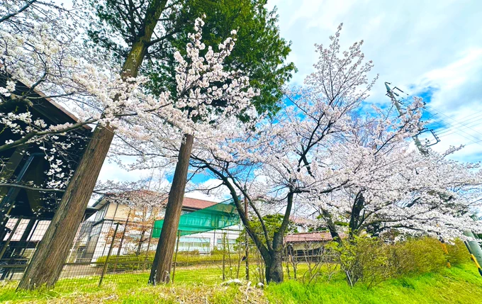 2日目つるね聖地 前回廻れなかった場所。(川落ちのとこ前日の雨のせいで増水してた)