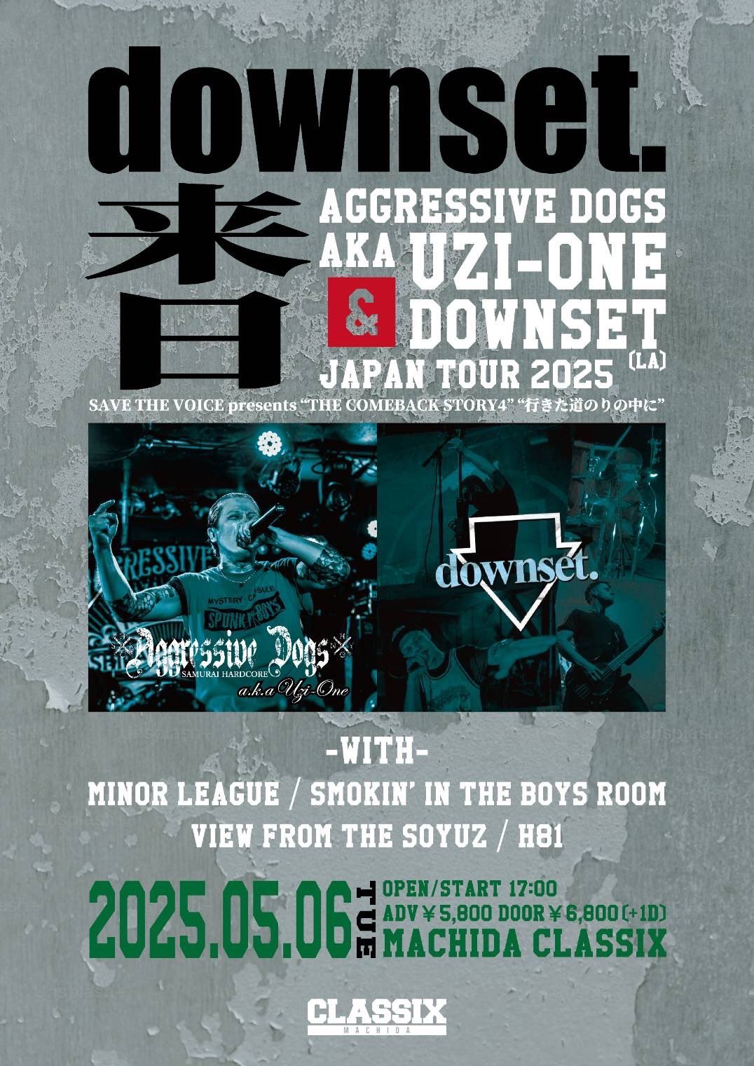 Aggressive Dogs公式 (@aggressive_dogs) / X Aggressive Dogs公式 (@aggressive_dogs) / X