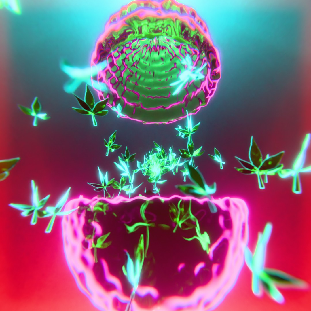 leafy_5's tweet photo. Day 1306- Happy Weed Egg Day!
π§© Blender 4.4
π§© Cycles
#blender3d #blender #everydays #cyclesrender #b3d #3dillustration #3dgraphics #3danimation #loopinganimation #motiongraphics #geometrynodes #proximitynode #easter #420 #easteregg #potleaf #Happy420 #HappyEaster https://t.co/Fv5rxPMuSW