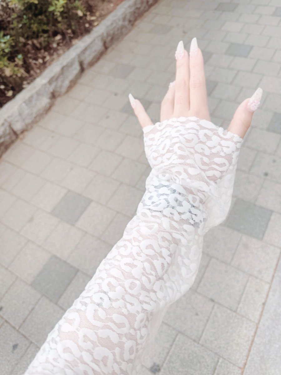 쿄코 tweet media