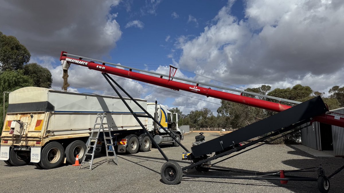 #plant25 continues. Next up #lentils