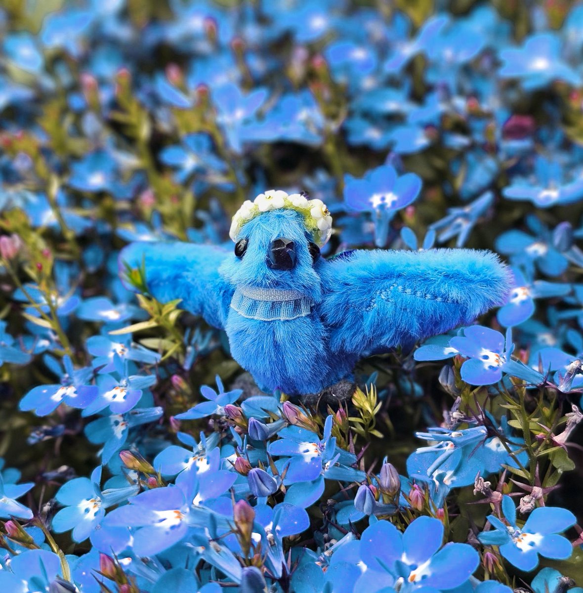 💙💙💙
파란 꽃밭에 파랑새 보고 오늘도 행운 받아가세요
